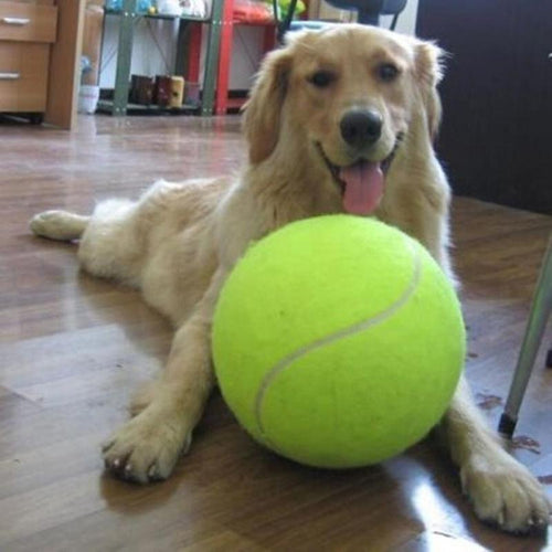 Giant Pet Ball