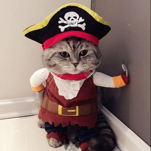 Funny Cat Outfit