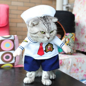 Funny Cat Outfit