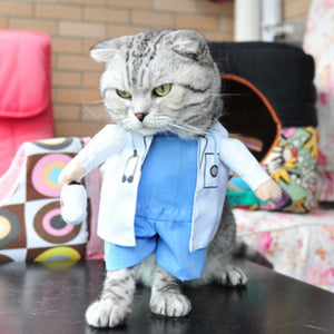 Funny Cat Outfit