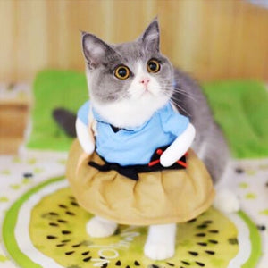 Funny Cat Outfit