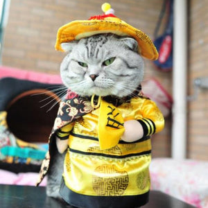 Funny Cat Outfit