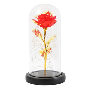 Best Valentine's Day Red Roses In a bottle