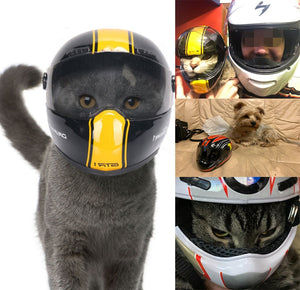 Puppy Cat Hat Helmets