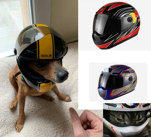 Puppy Cat Hat Helmets