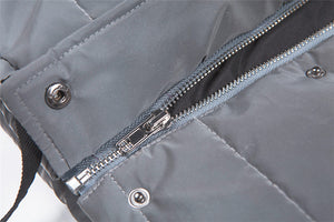 Dazzle - Padded jacket