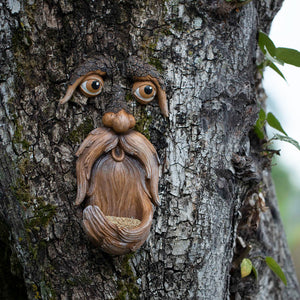 Mr Grumpy Tree Face